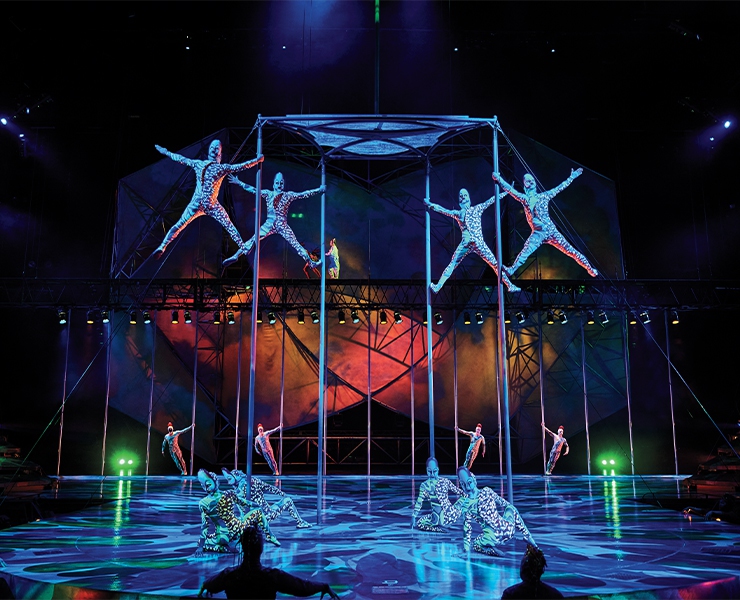 Cirque du Soleil — Mystère