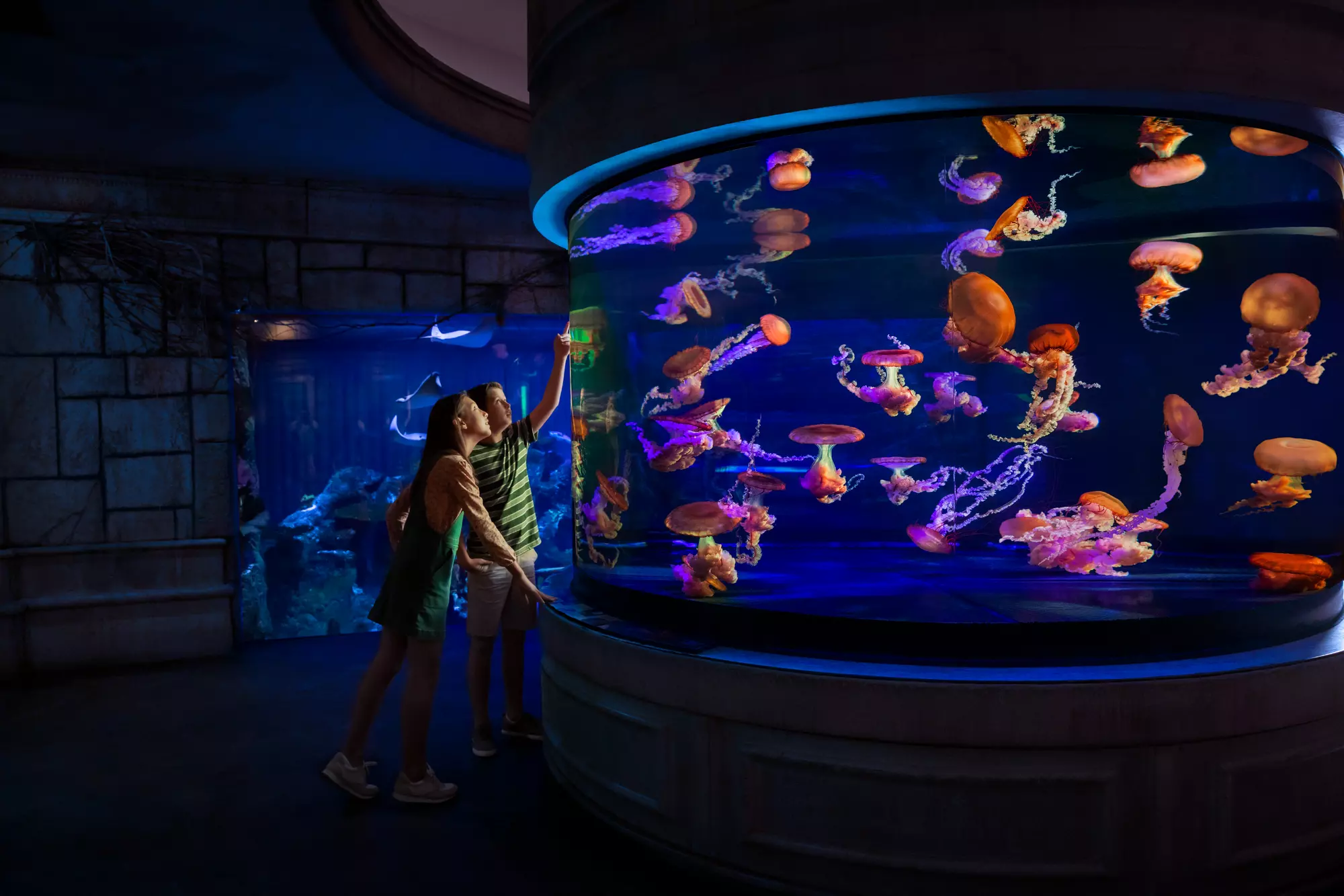 Shark Reef Aquarium at Mandalay Bay